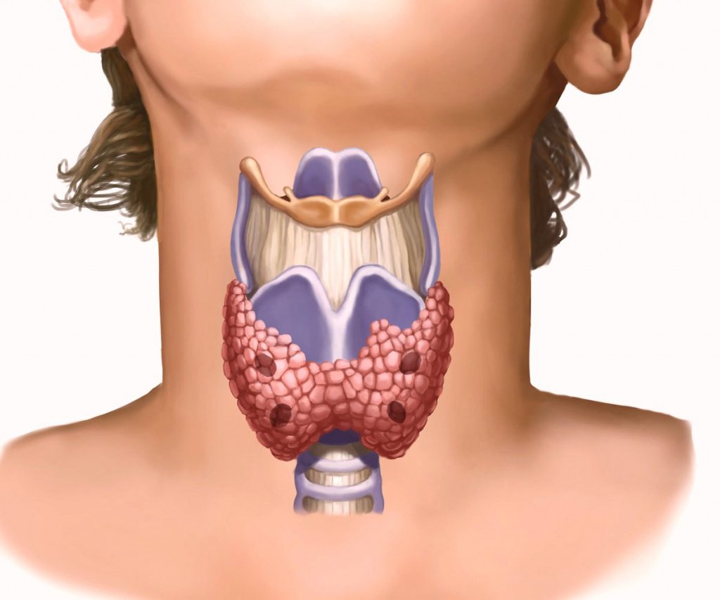 Функция щитовидной железы при биполярном расстройстве